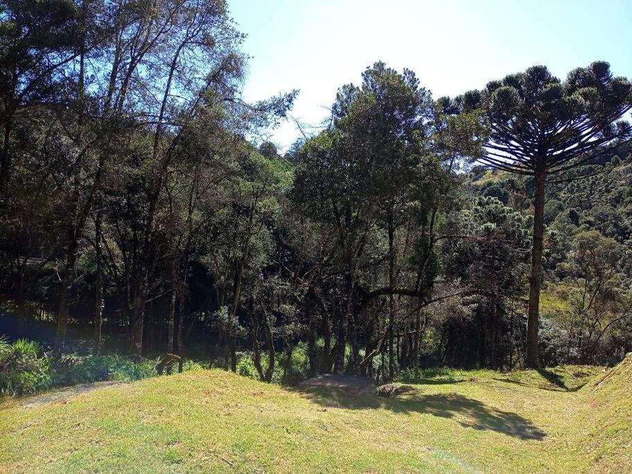 Morada Da Araucaria Campos do Jordão