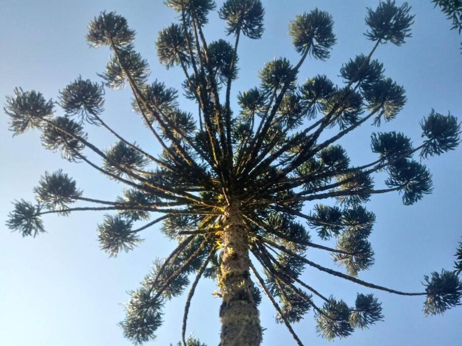 Casa de férias Morada Da Araucaria *